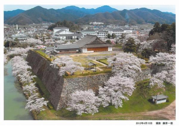篠山城跡周辺に満開に咲いている桜の木と篠山城跡を上空から写している写真